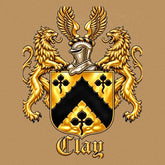 Camel Lion’s Crest wool-blend blanket