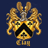 Navy Lion’s Crest wool-blend blanket