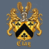 Slate Lion’s Crest throw blanket