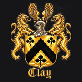 Black Lion’s Crest cashmere blanket